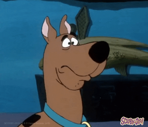 Shocked Scooby Doo Gulp GIF | GIFDB.com