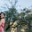 Revillaging Mama's avatar