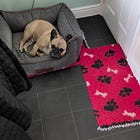 Virtual Pet Therapy #21