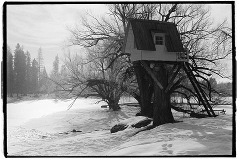 Kodak Tri X film images, photos, pictures