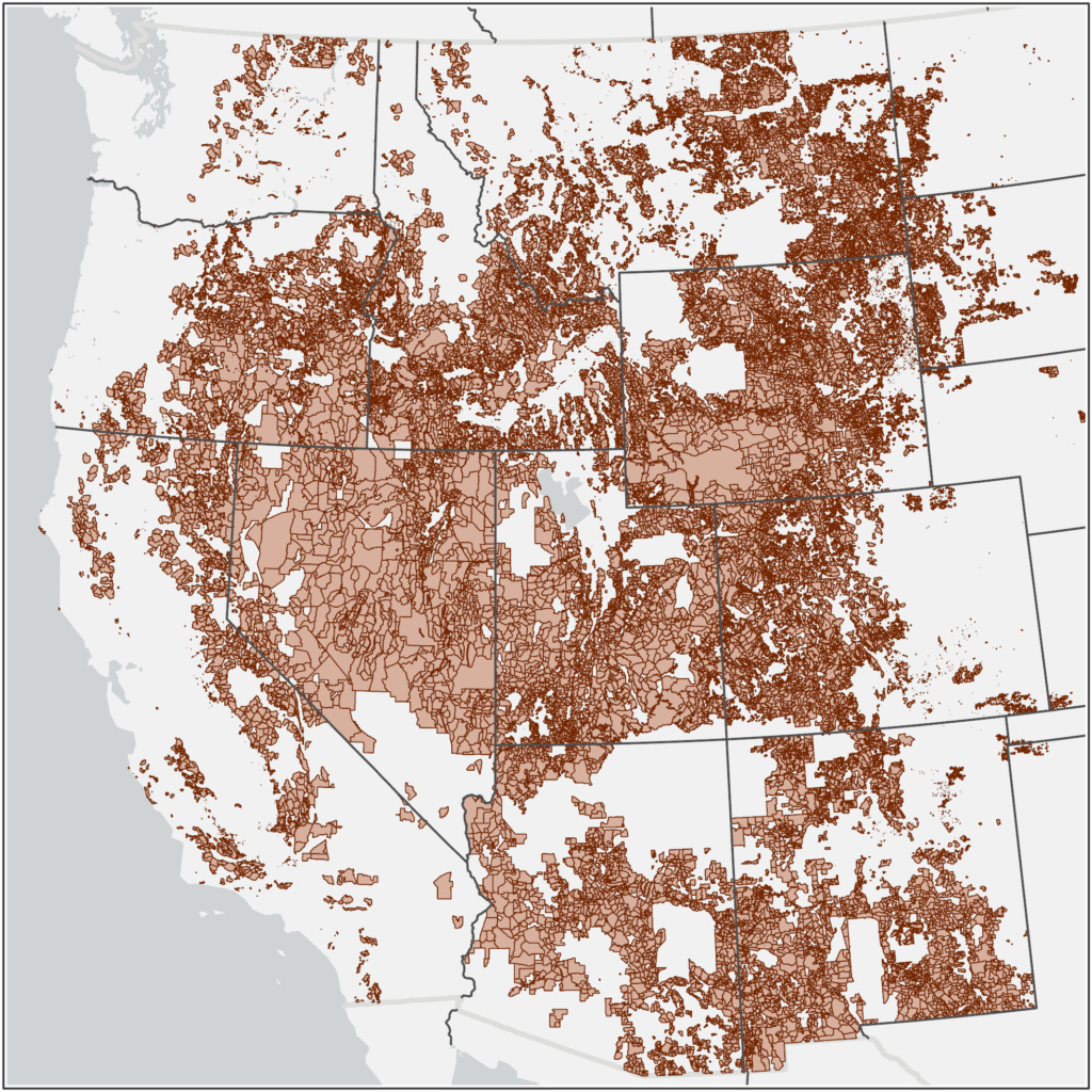 The Travesty of Public Lands Ranching