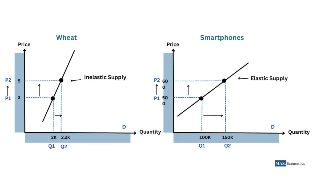The Price Elasticity of Demand and Supply - maseconomics