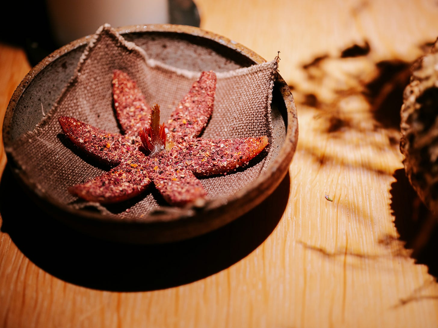 René Redzepi: A Work in Progres - by Daniel Scheffler