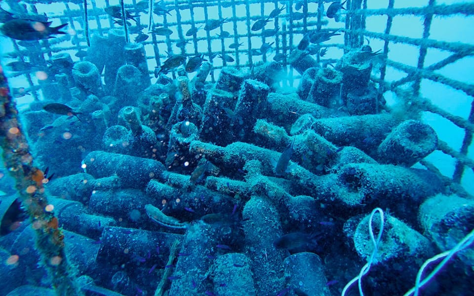 Underwater Wineries: 4 Wineries Ageing Bottles on the Seabed