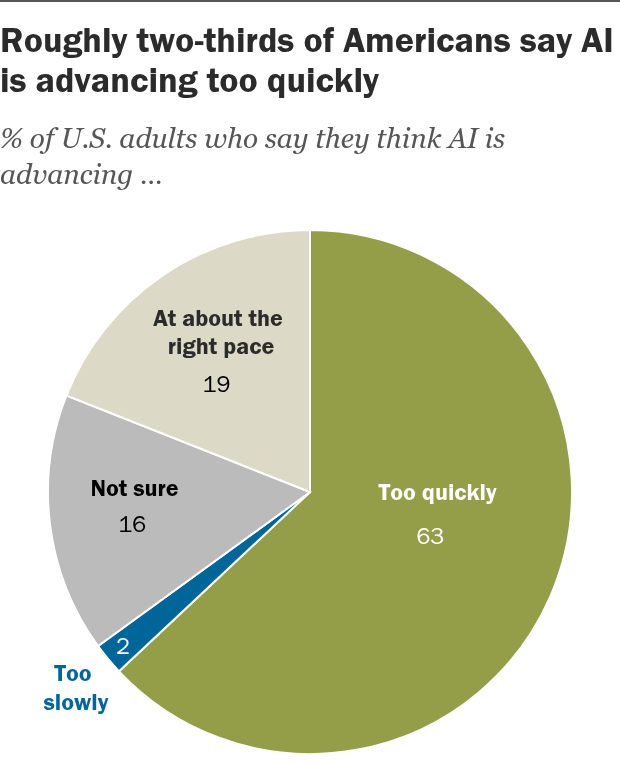 Pie chart of American AI opinions