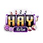 haywini com's avatar