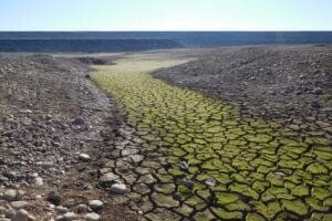 Cracked soil