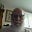 George Harol's avatar
