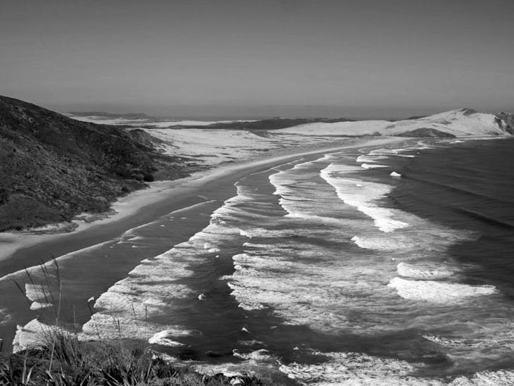 aerial photography of seashore