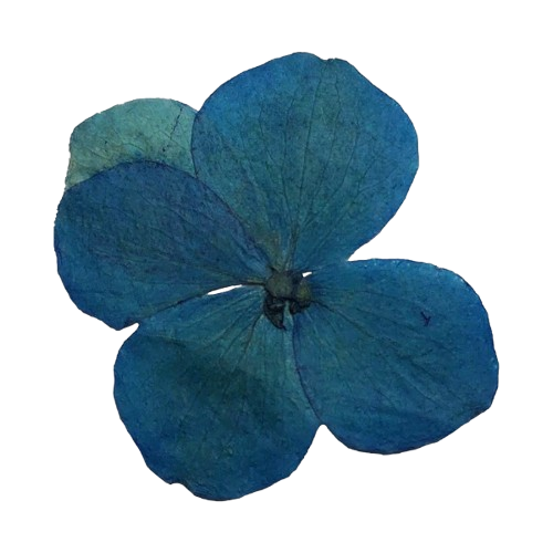 scribbles in the margins