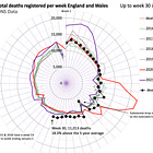 Why it's time to Investigate Excess Deaths in England and Wales