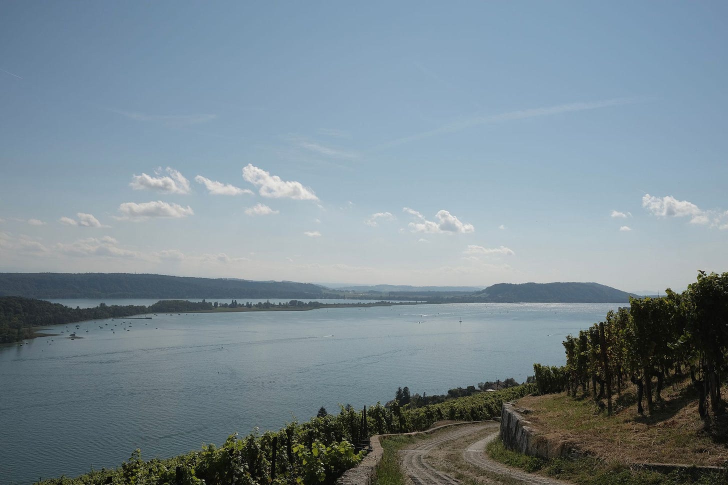 Trip tip: An easy walk through the vineyards