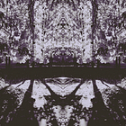 Born of Chaos
