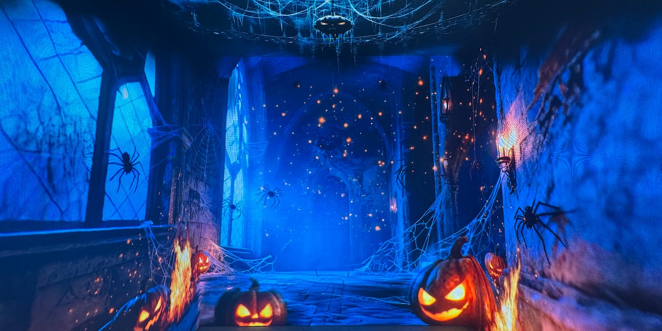 Planning a temporary immersive exhibition? Here’s how to do it
