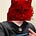 Mat the Horror Cat's avatar