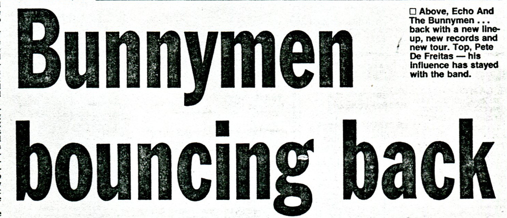 Echo headline "Bunnymen bouncing back"