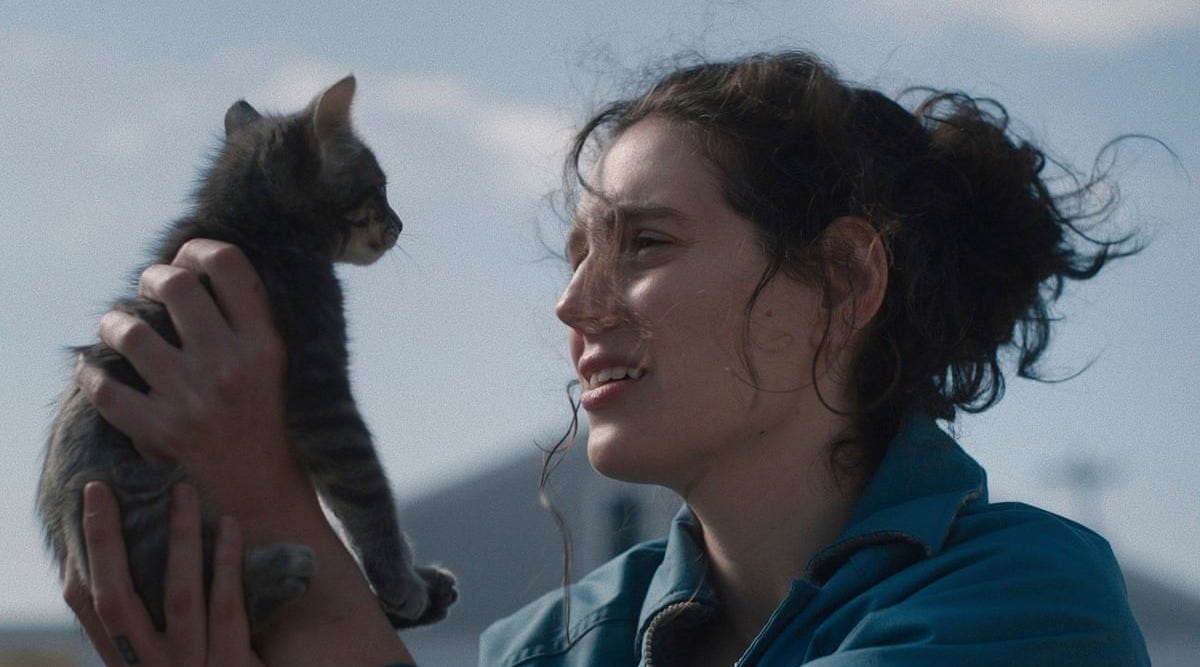 Sorry, Baby review – a warm, bitingly funny refocus of the trauma plot | Movies | The Guardian Sorry, Baby review – a warm, bitingly funny refocus of the trauma plot | Movies | The Guardian