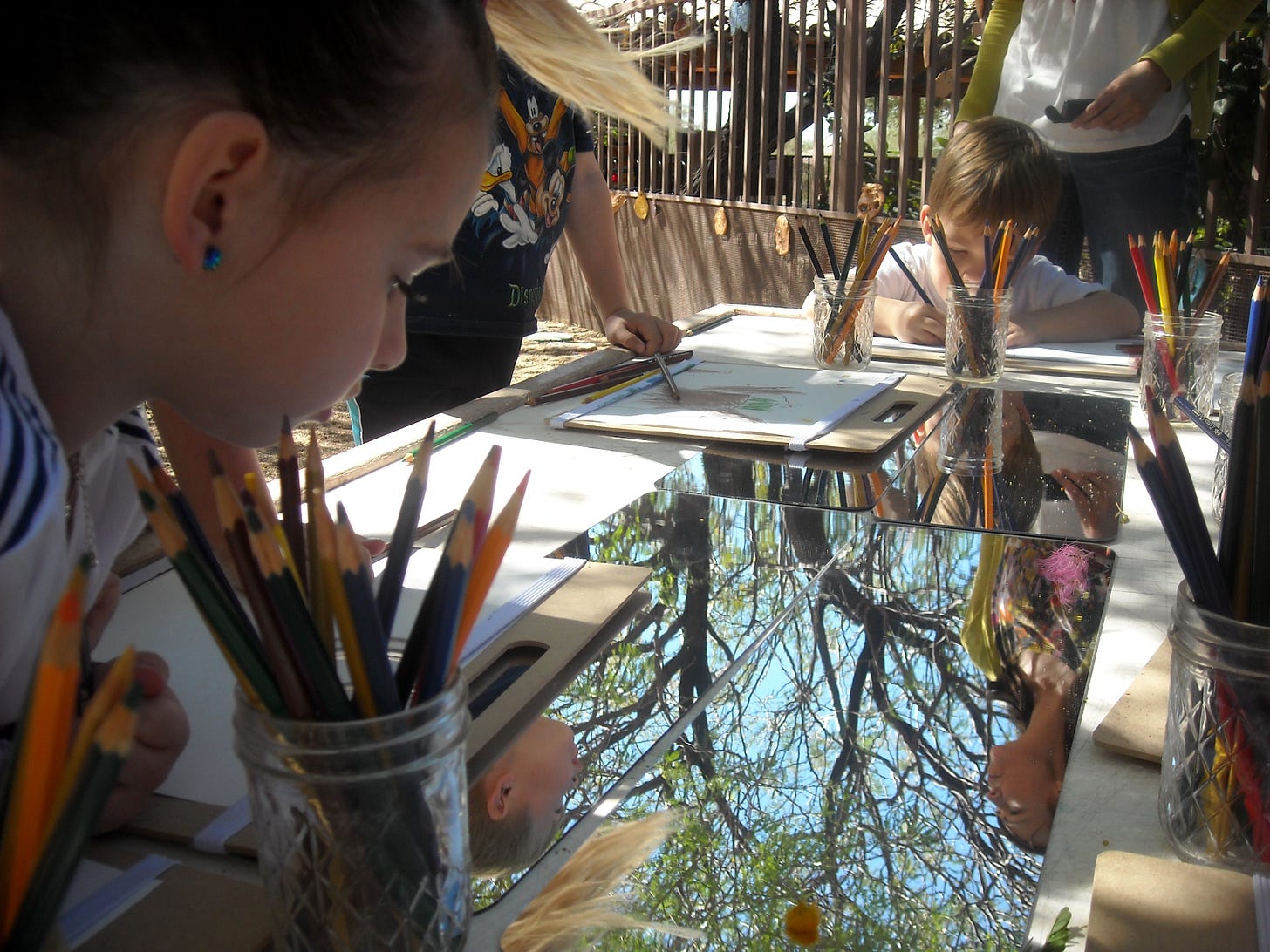 image of children at a table outside, underneath a large tree. The table has mirrors placed on the table so that the children can see the canopy above.  They are drawing what they see in the mirror.