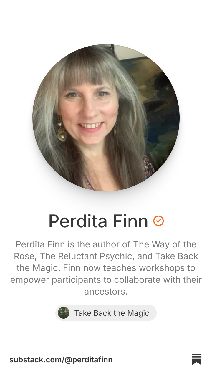 Perdita Finn | Substack