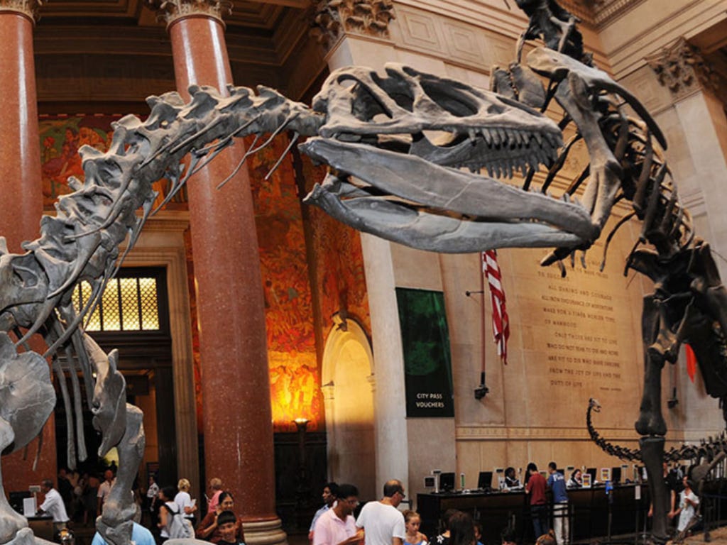 Museum of Natural History