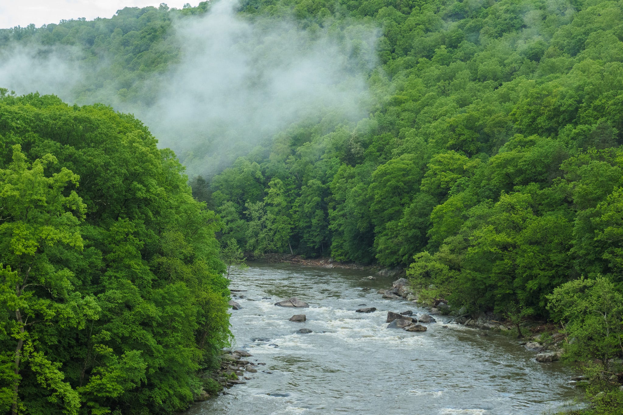 A photo of a rocky river cutting a valley through verdant green hills. Whisps of morning fog hang over the river.
