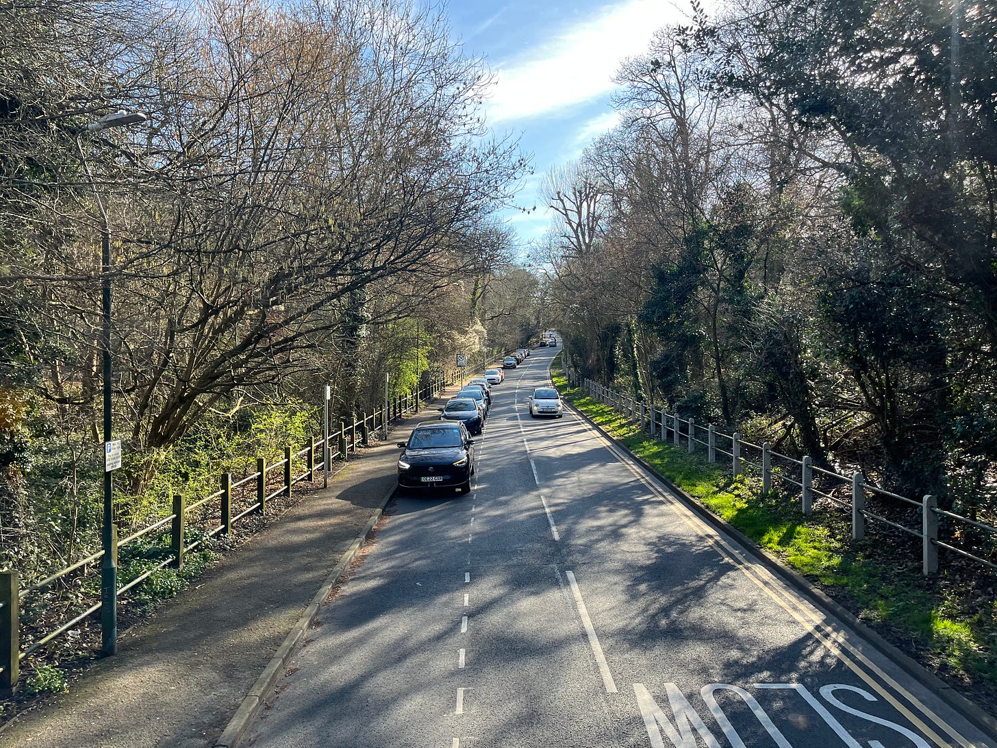 Photo showing narrow wooded street with cars parked on one side.