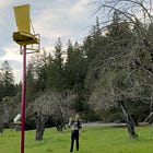 Davingy Orchard of Art open to the public this Saturday 