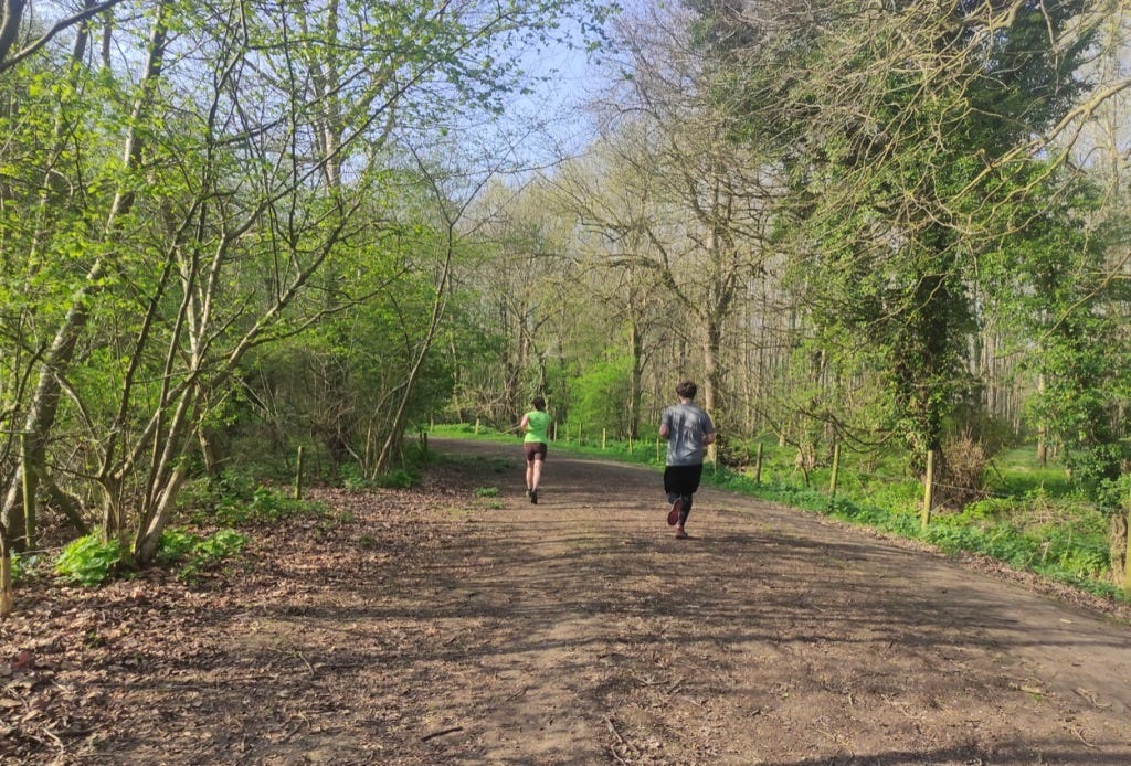 A wide mud-packed path with thin trees on either side.