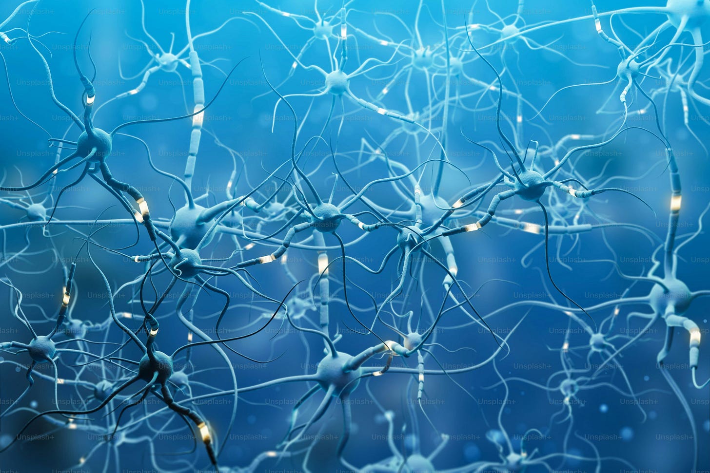 Blue neurons with glowing segments over blue background. Neuron interface and computer science concept. 3d rendering copy space Blue neurons with glowing segments over blue background. Neuron interface and computer science concept. 3d rendering copy space