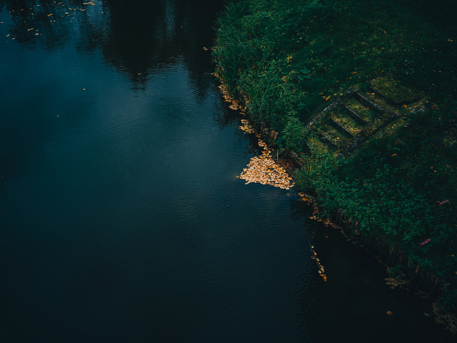 Dark, still river with a few leaves on the edge of it as it meets a dark grassy bit of land. Grassy steps are embedded in the grass. Dark, still river with a few leaves on the edge of it as it meets a dark grassy bit of land. Grassy steps are embedded in the grass.