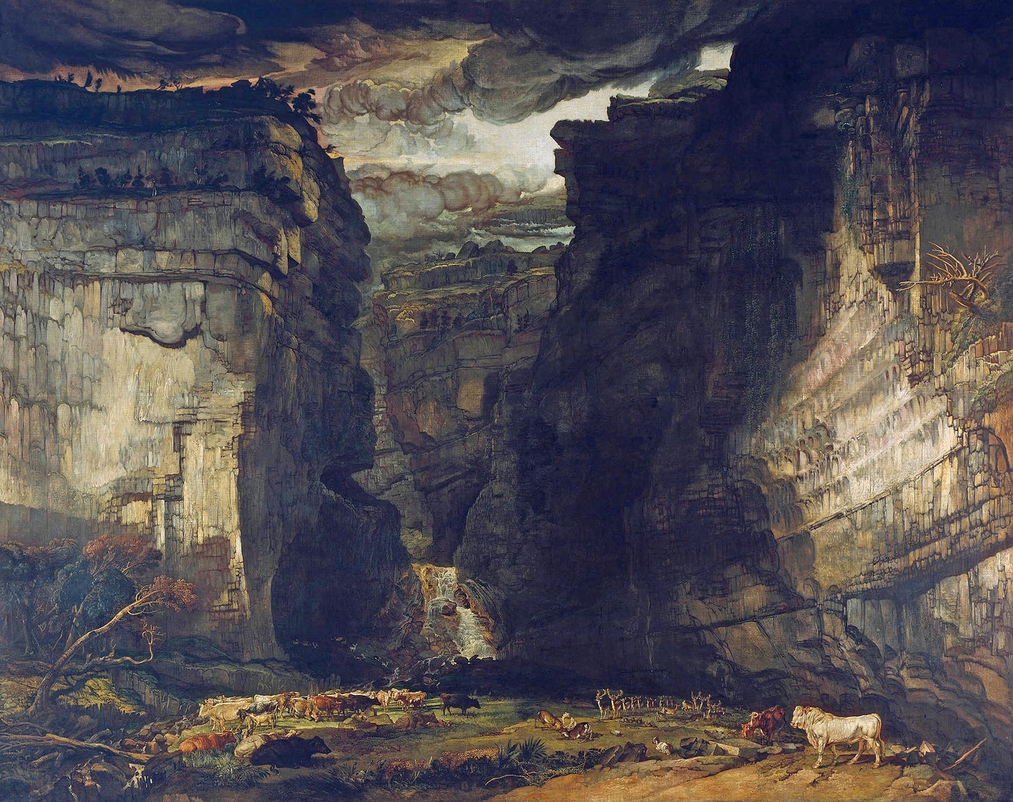 gorge with bull standing in front, stormy