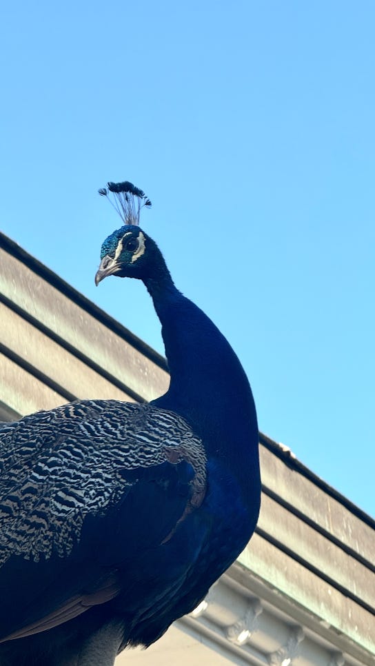 Capture d’écran 2026-03-15 à 16.47.22.png Capture d’écran 2026-03-15 à 16.47.22.png