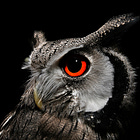 30 Days of ADM: Day 4 September 30, 2022