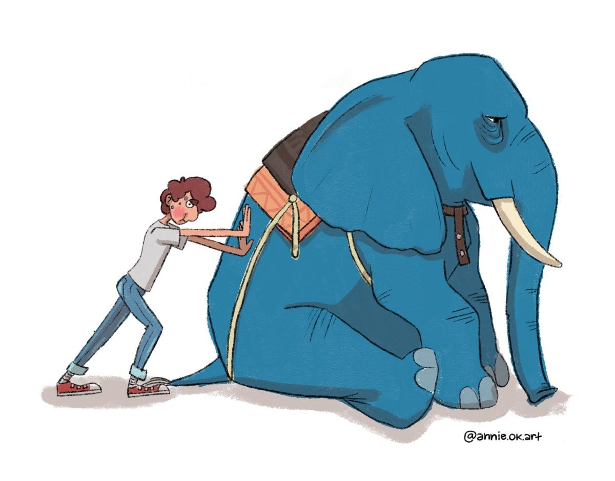 The Writer vs The Elephant | The Plotter's Apprentice