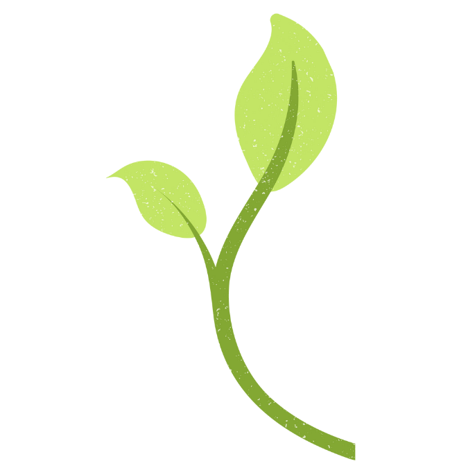 Artwork for Radicle Digital