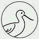 American Avocet