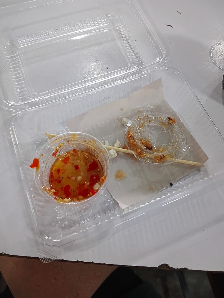 Fried Tofu + Springrolls = empty container