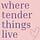 where tender things live