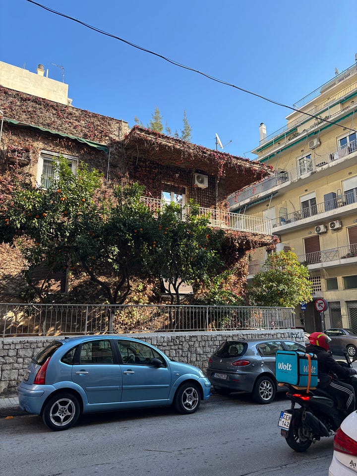 Cute cate, nice green house