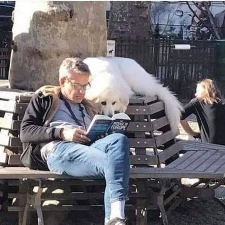 John’s Substack Slow Moving Minimalist