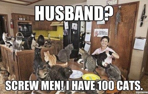 20 Hilarious Cat Lady Memes You Would Totally Love