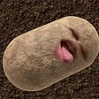 Conscious Potato's avatar