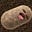 Conscious Potato's avatar