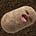Conscious Potato's avatar