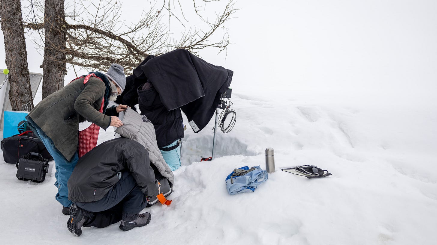 The $HARE crew batting the elements
