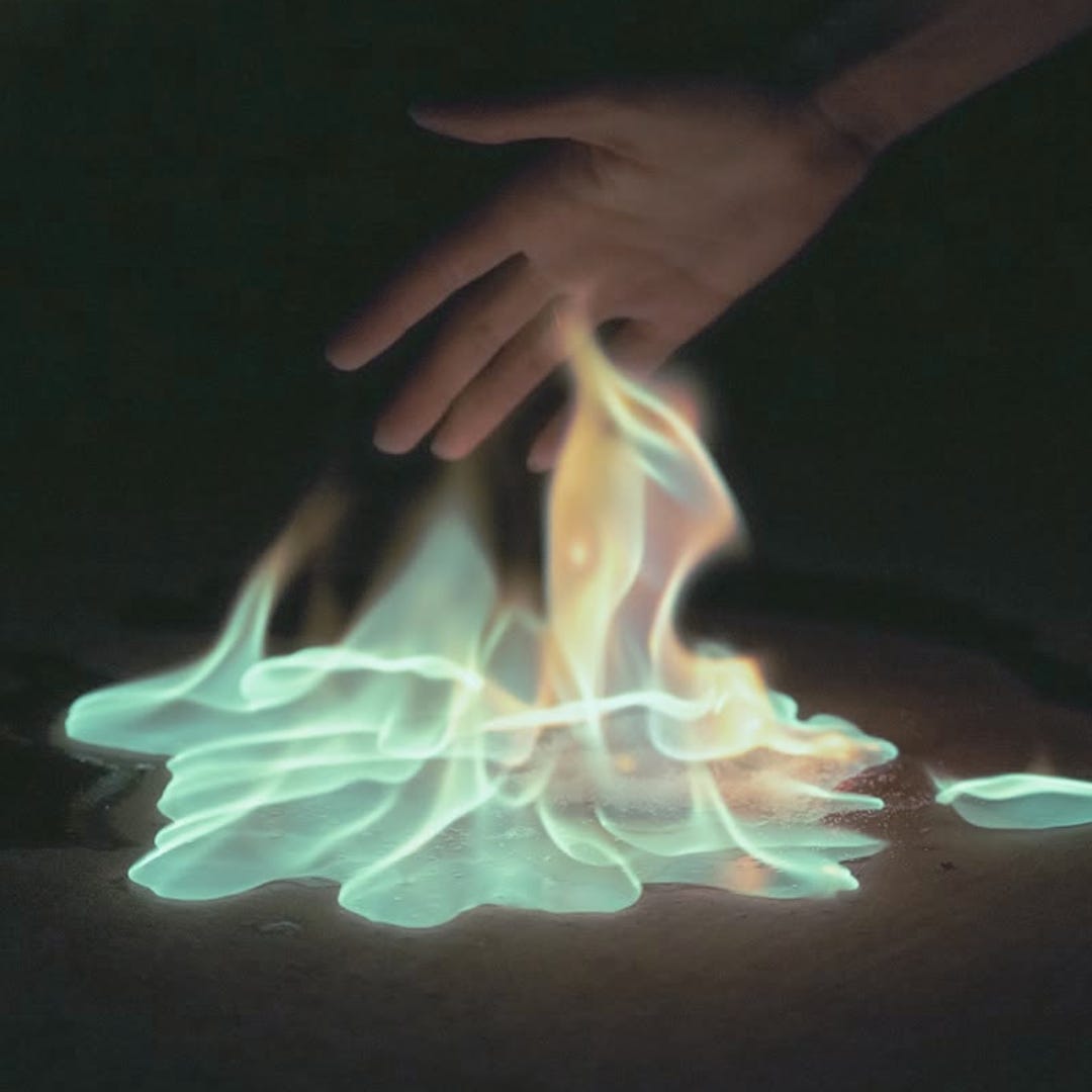 Where the wild heals