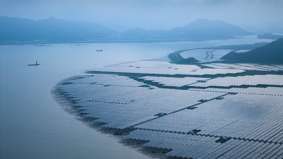 335: Transition. Flagellar motor. Measles in Africa. Clitoris. Wild horses.