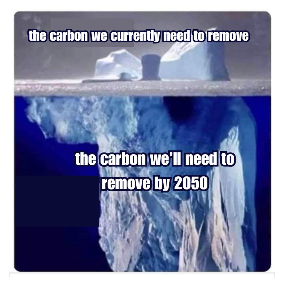 Iceberg meme. The small tip above water is labelled "the carbon we currently need to remove," and the enormous mass below is labelled "the carbon we'll need to remove by 2050."