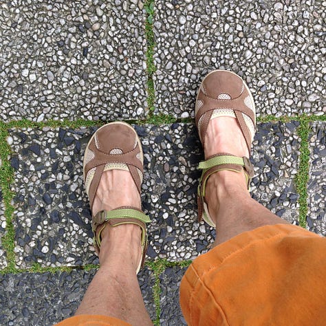 Travel,typology,feet