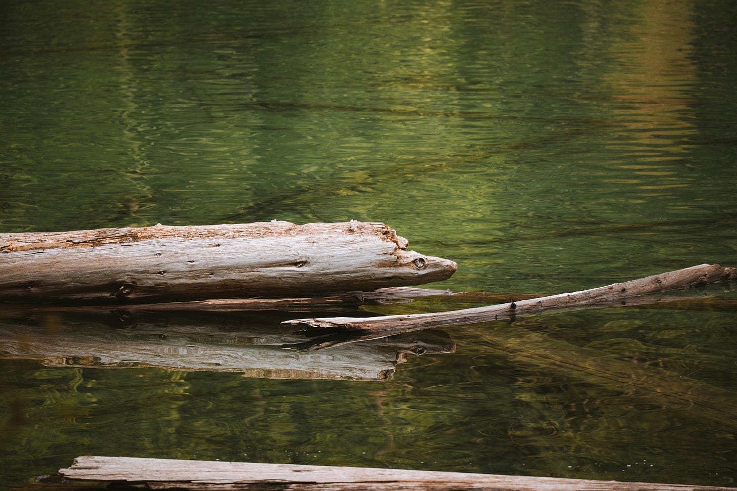 Still water with a partially submerged fallen tree trunk, its weathered wood reflected in the green surface, suggesting quiet stillness and gradual change over time.